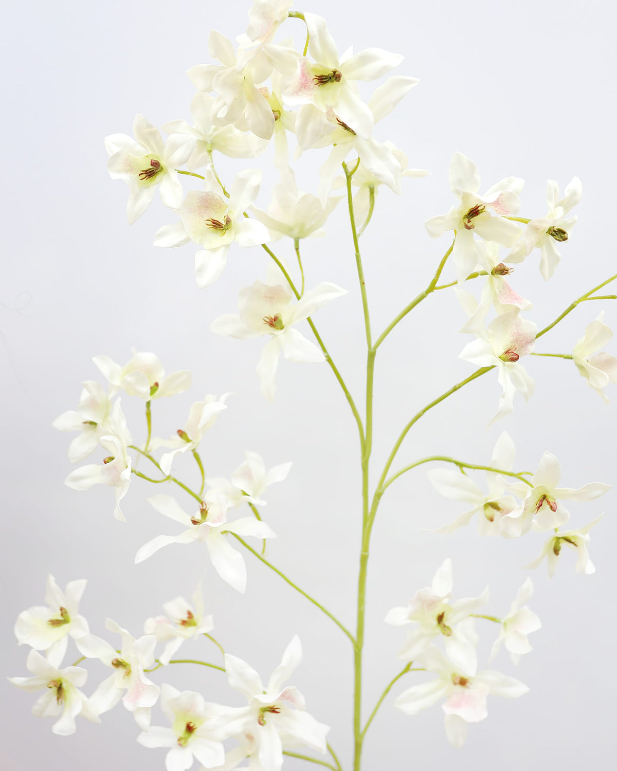 Artificial White Oncidium orchid stem close up