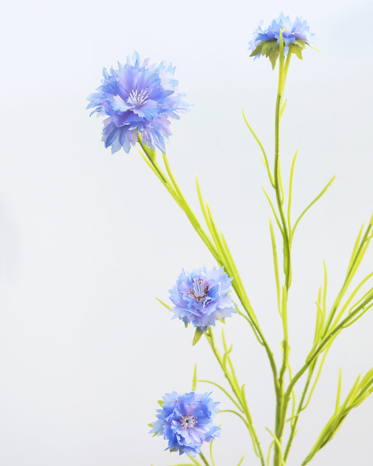 Artificial Blue Corn flower wildflower close up