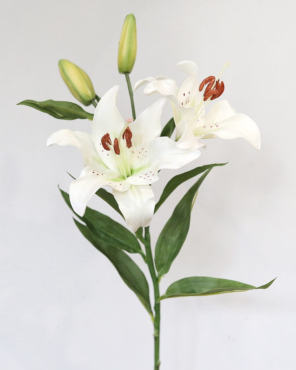 White Faux Stargazer Lily Flowers