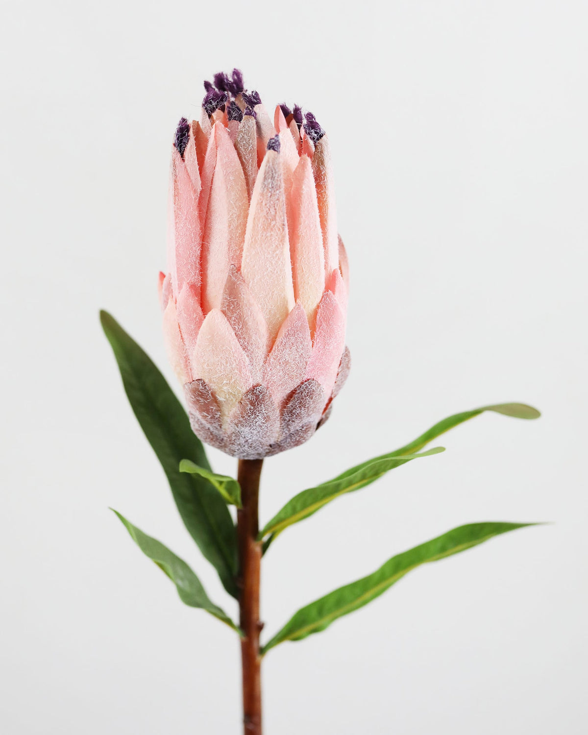 A single faux pink protea flower with green leaves and a brown stem, photographed against a clean white background.