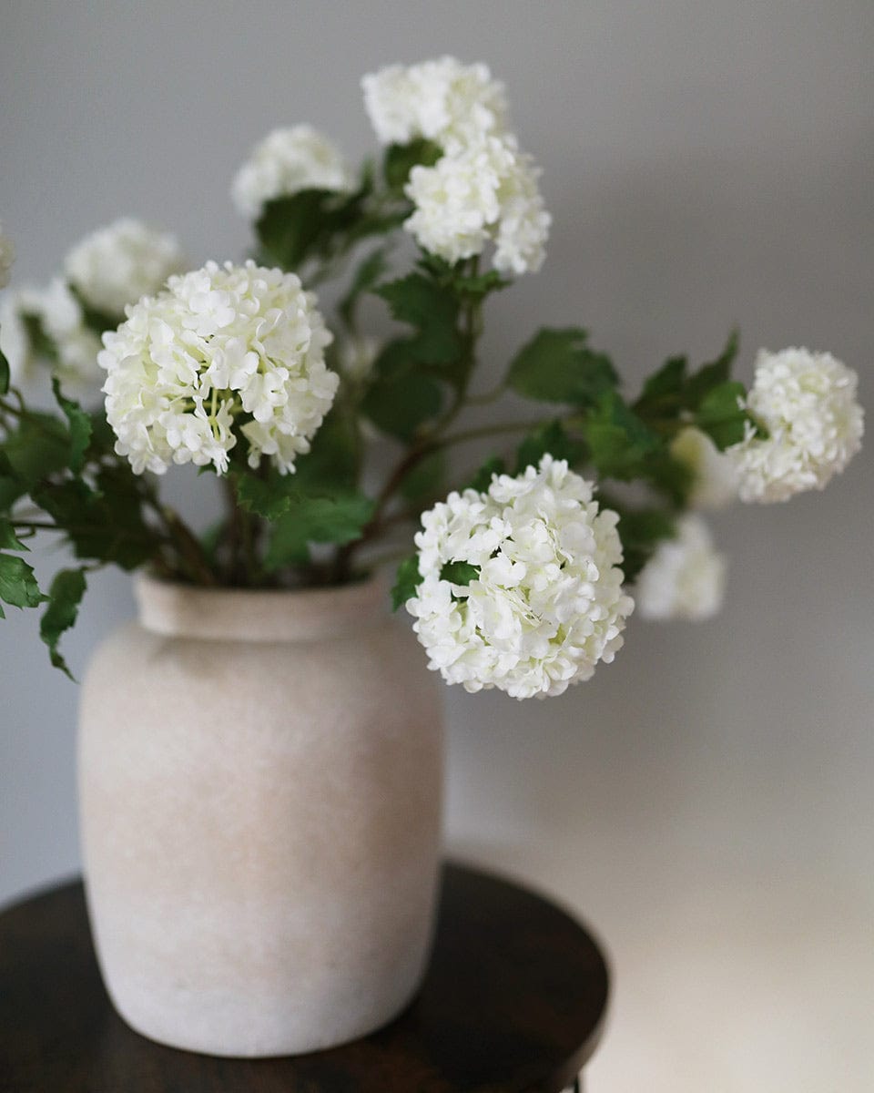 Detailed Photograph of Fake Cream Snowballs in Vase