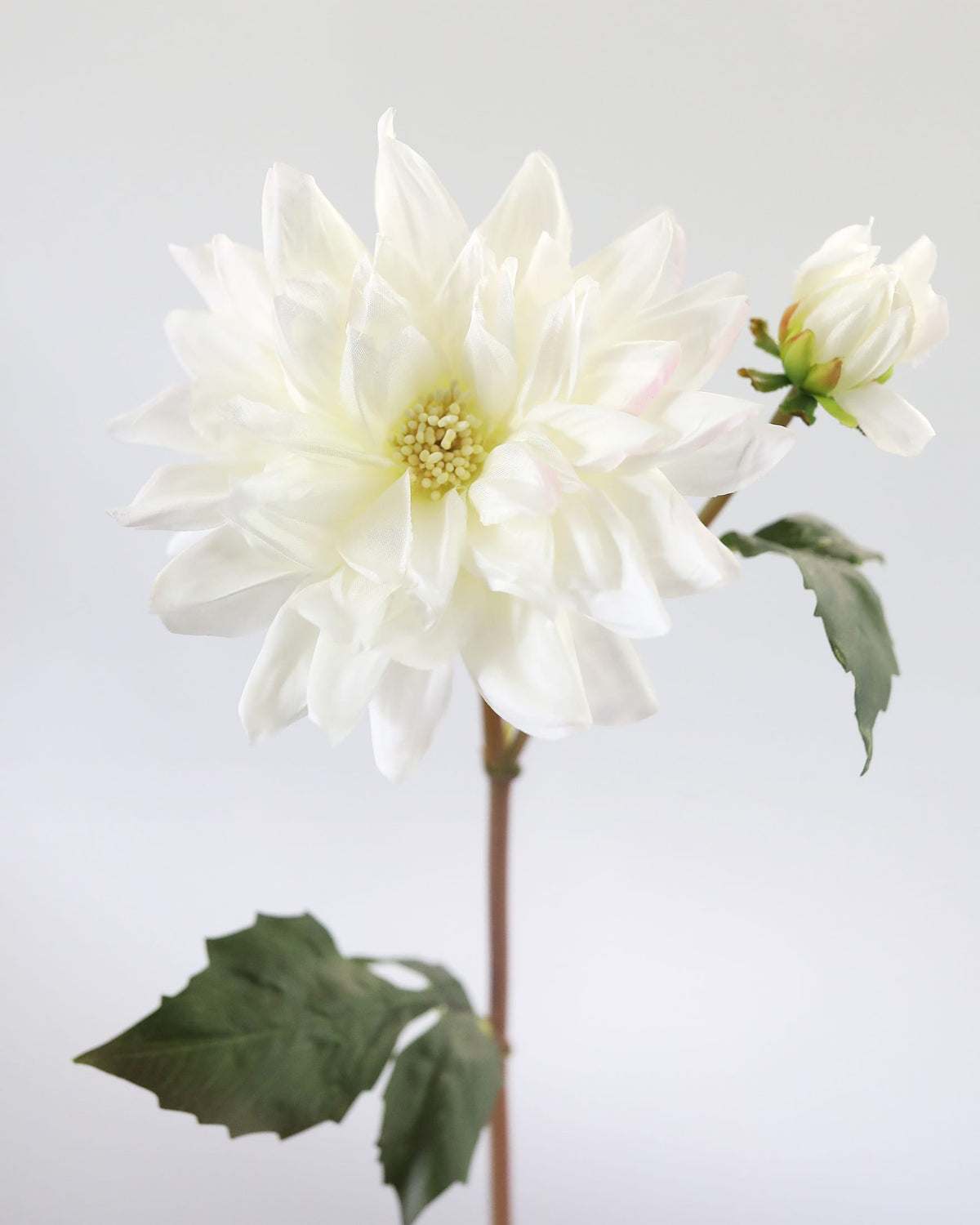White faux dahlia with green leaves on a light gray background
