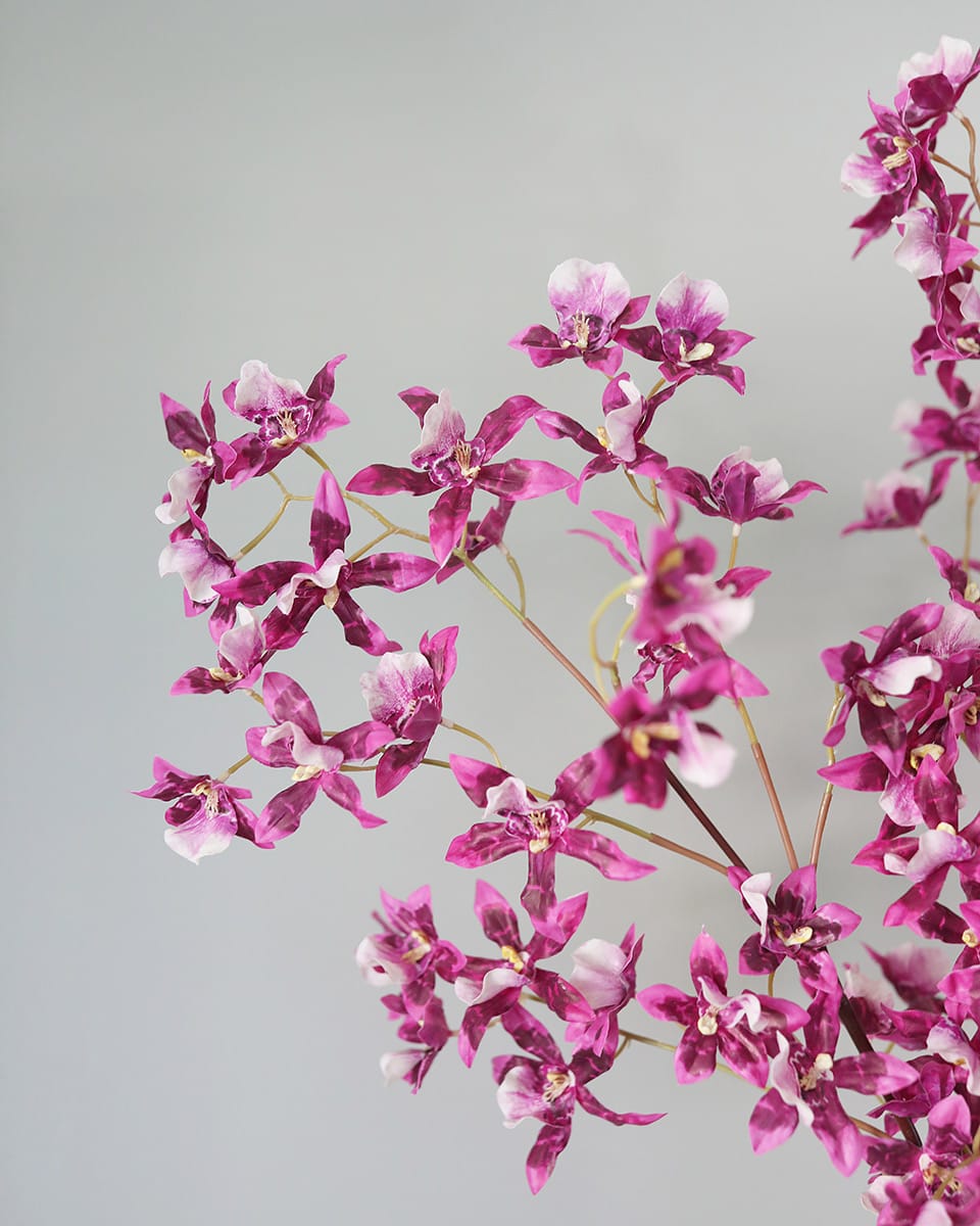 Faux Pink Oncidium Orchid Blossoms