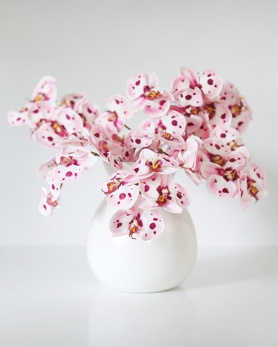 Artificial Phalaenopsis Orchid Flowers in Spotted Pink and White