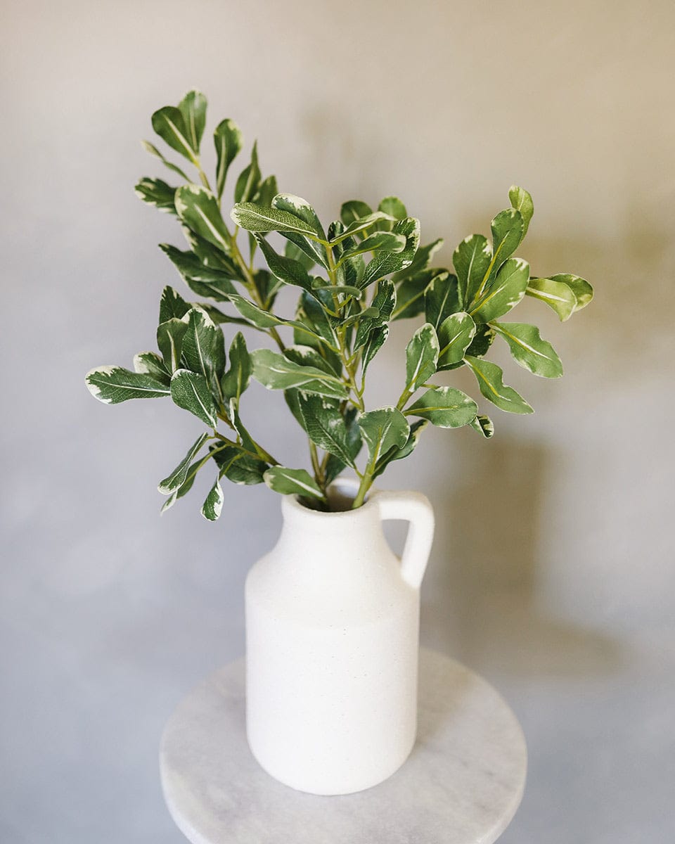 Fake Pittosporum Greenery in White Vase
