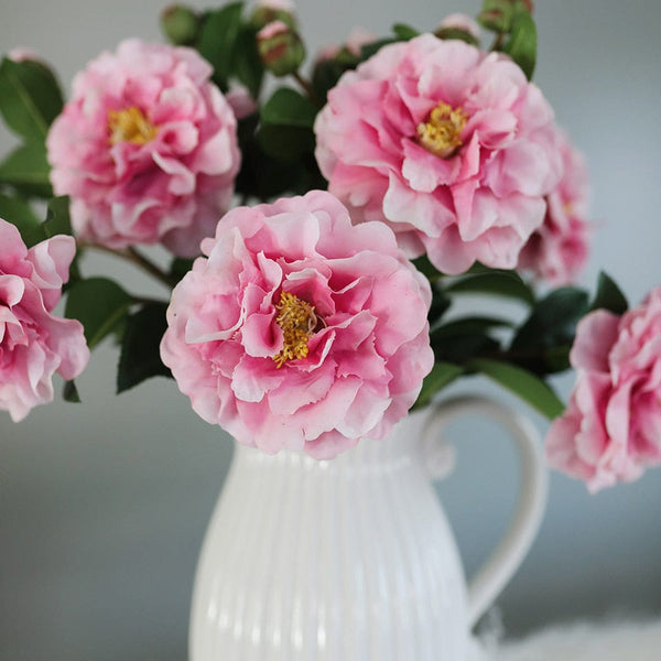 Premium Roses