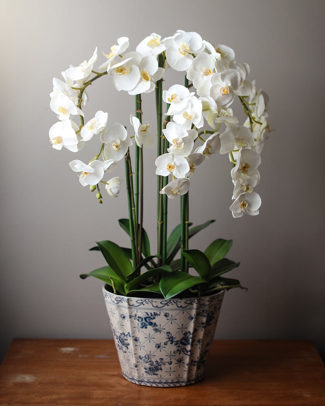 Prestige Botanicals pb-stem Artificial Real Touch Orchids in Floral Print Vase