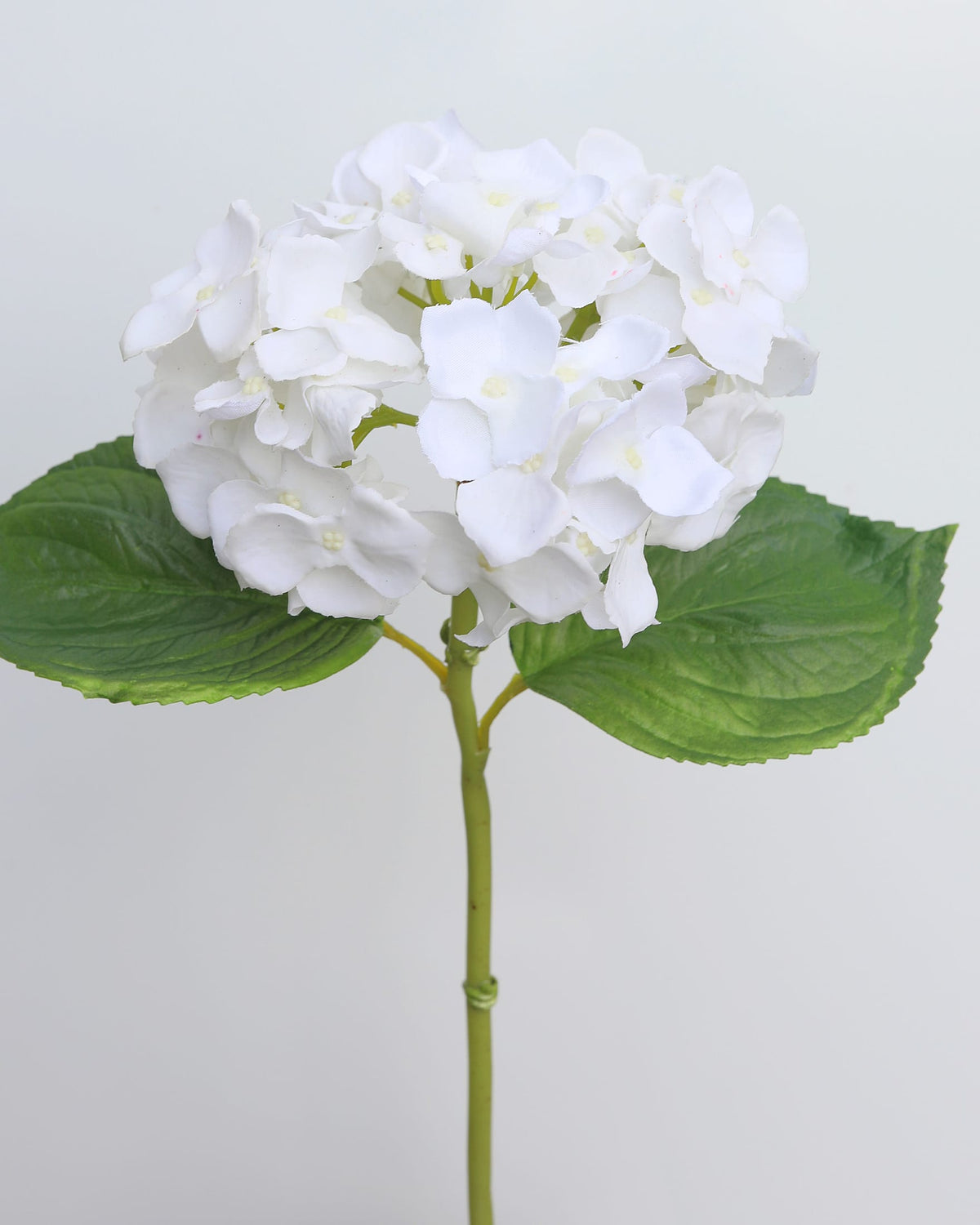 Artificial small white hydrangea close up