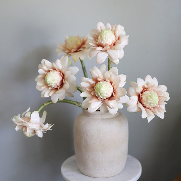 Premium Roses