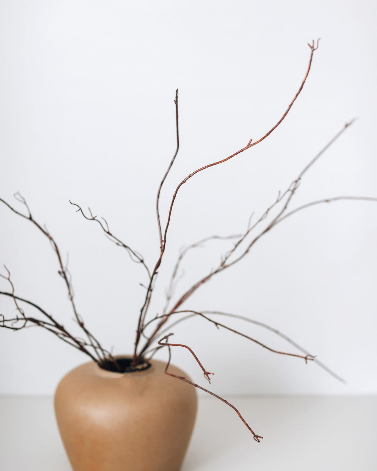 A small matte beige ceramic vase holding several thin brown and reddish-brown decorative fake branches, photographed against a clean white background.