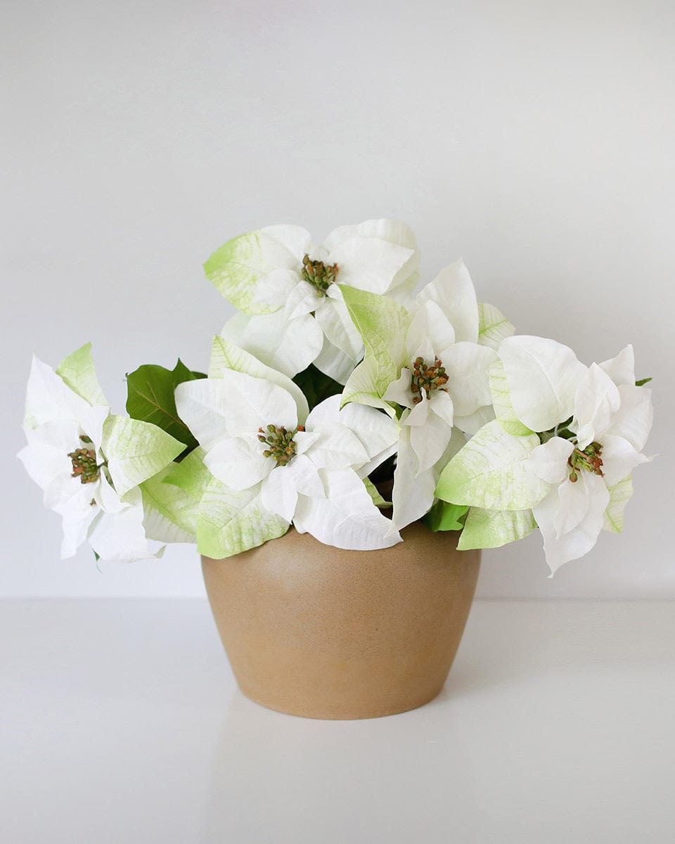 Artificial Poinsettias in White Styled in Ceramic Vase
