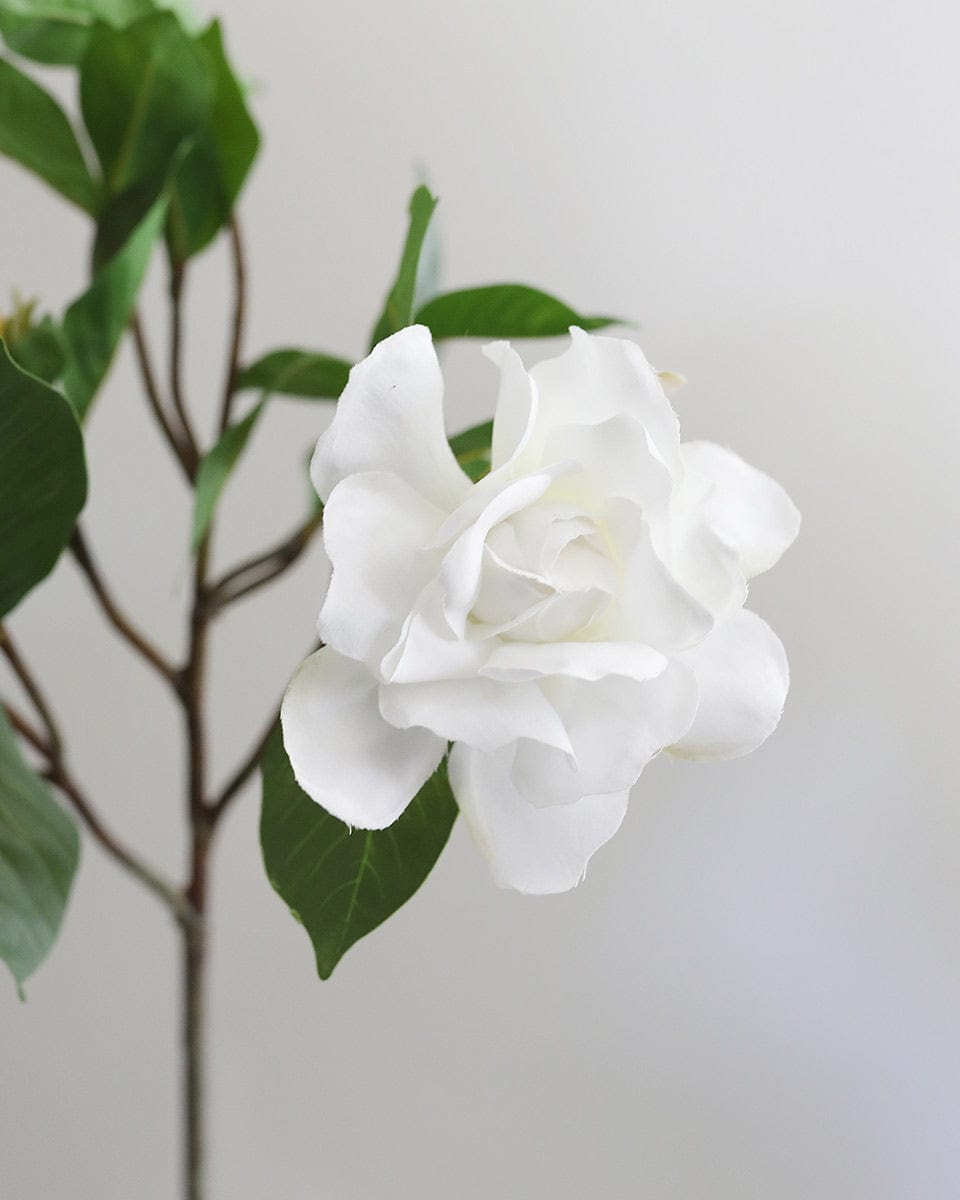 Fake Gardenia Blossoms in White Color