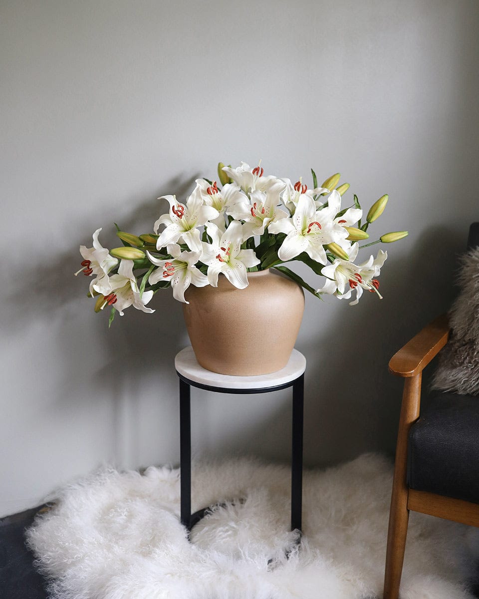 White Stargazer Lily Stems Arranged in Vase Home Decor