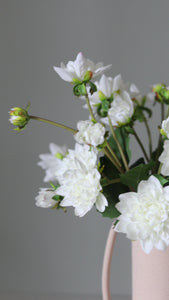 Video Showing Artificial White Dahlias in a Pink Vase