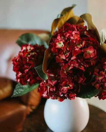 Premium Roses
