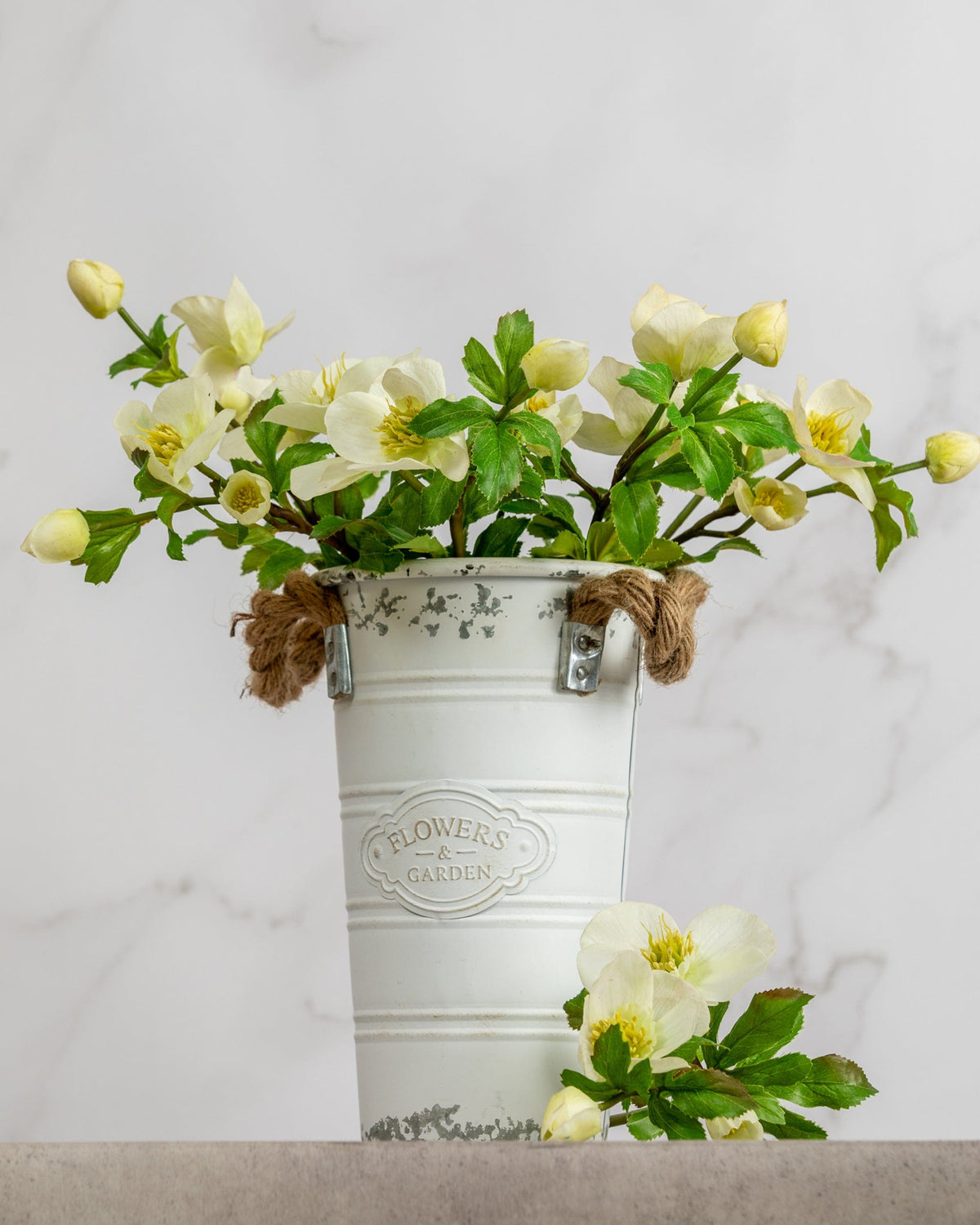 Prestige Botanicals Artificial White Hellebores in a white tin vase