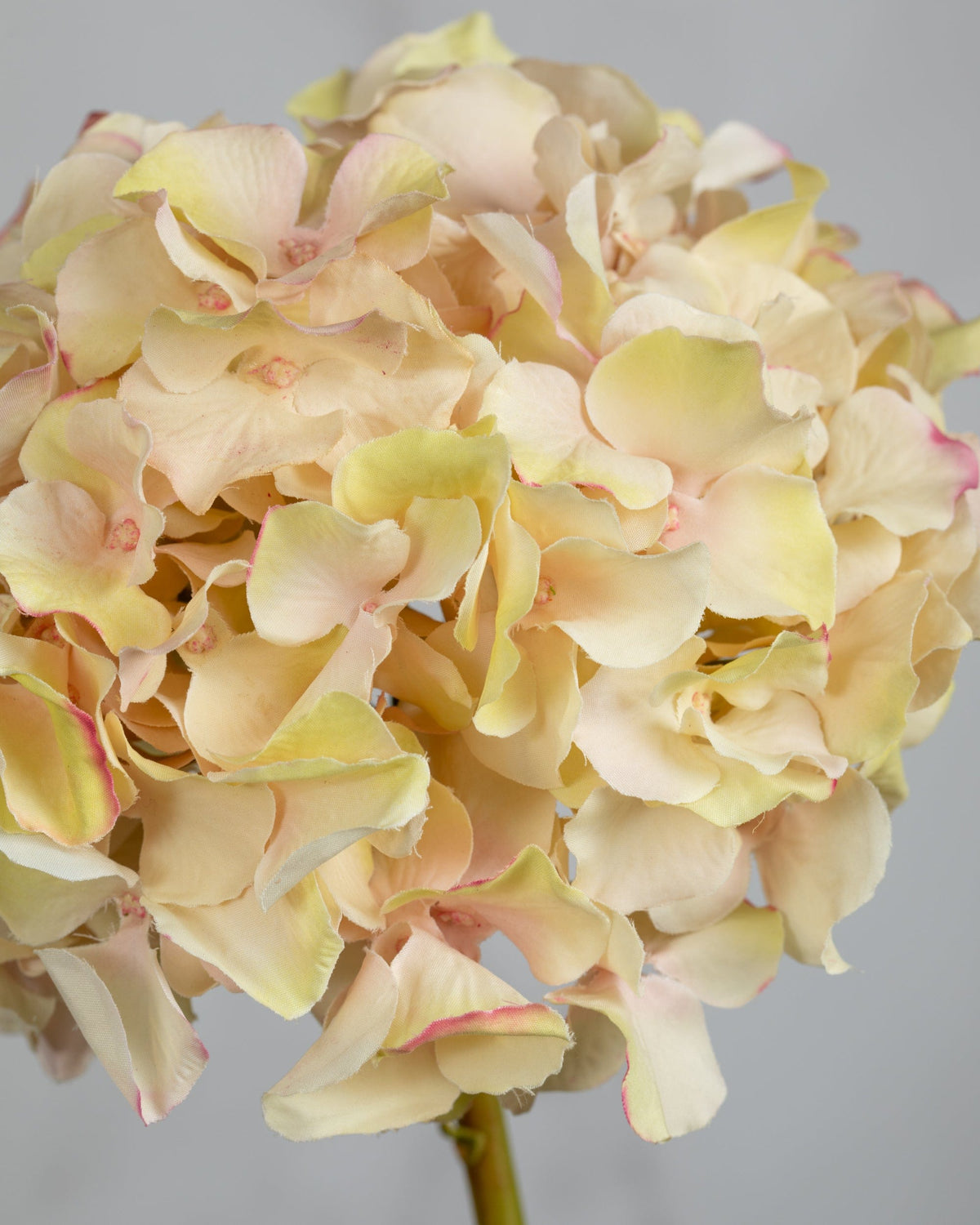 Prestige Botanicals Artificial Pink Hydrangea Close up
