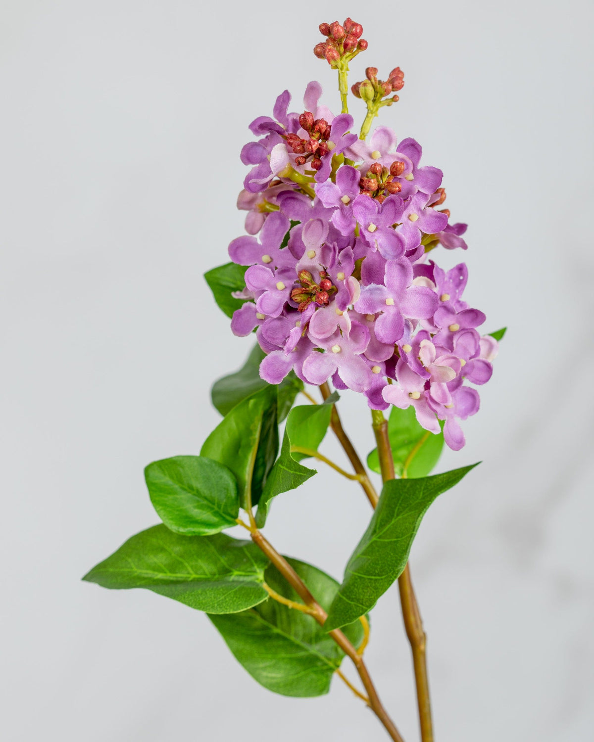 Prestige Botanicals Artificial Mauve Lilac close up
