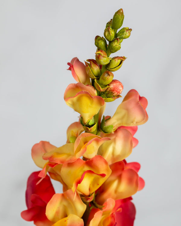 Real Touch Orange Snapdragon Fake Snapdragons Artificial Flowers