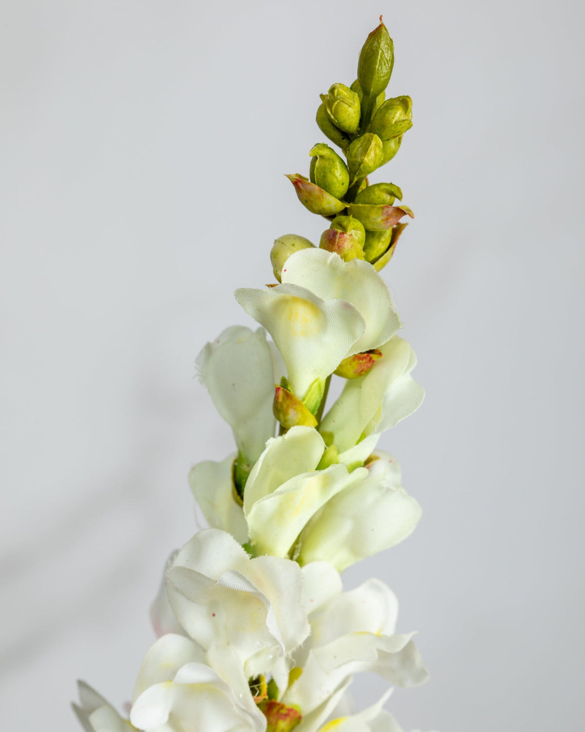 Prestige Botanicals Artificial White Snapdragon close up