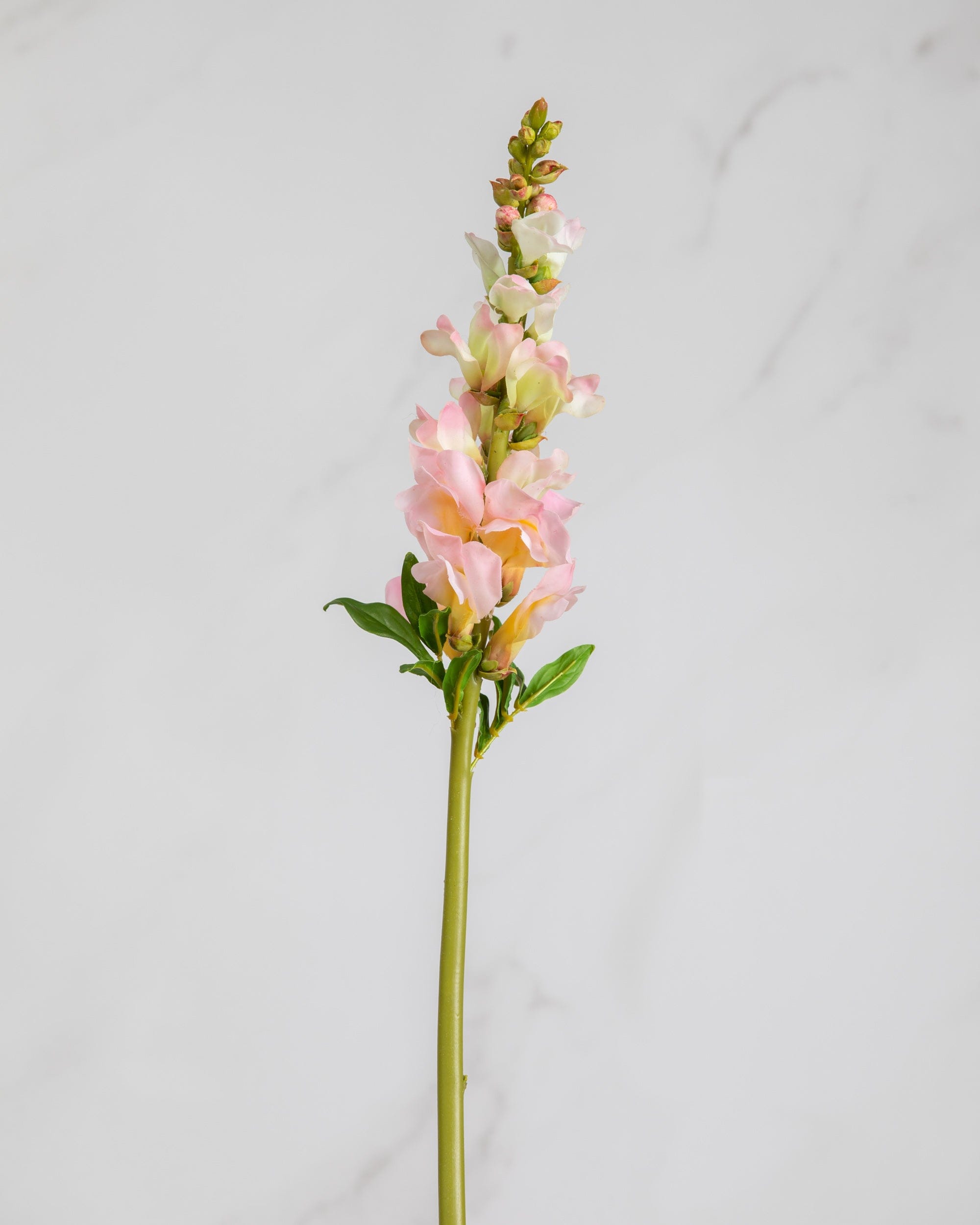 Prestige Botanicals Artificial Pink Snapdragon stem