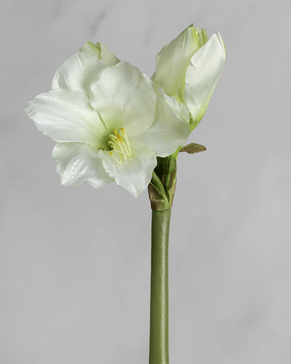 Artificial White Amaryllis 19.5”