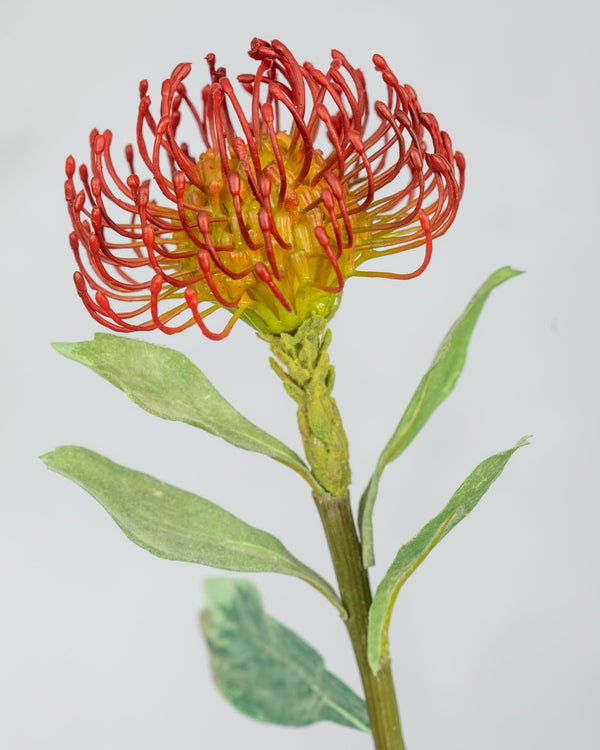Artificial Pincushion Protea 24”