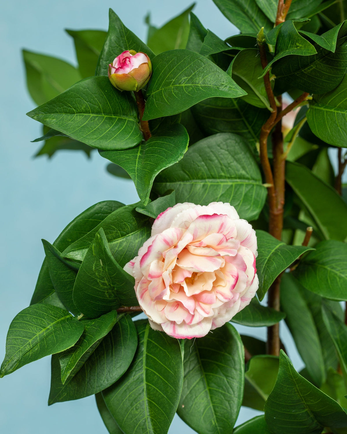 Prestige Botanicals Artificial Pink Camellia close up