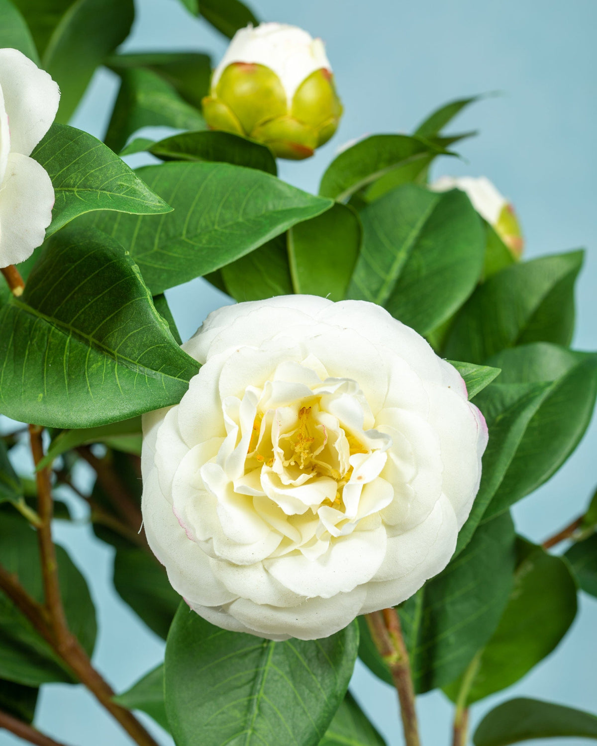 Prestige Botanicals Artificial White Camellia Topiary close up