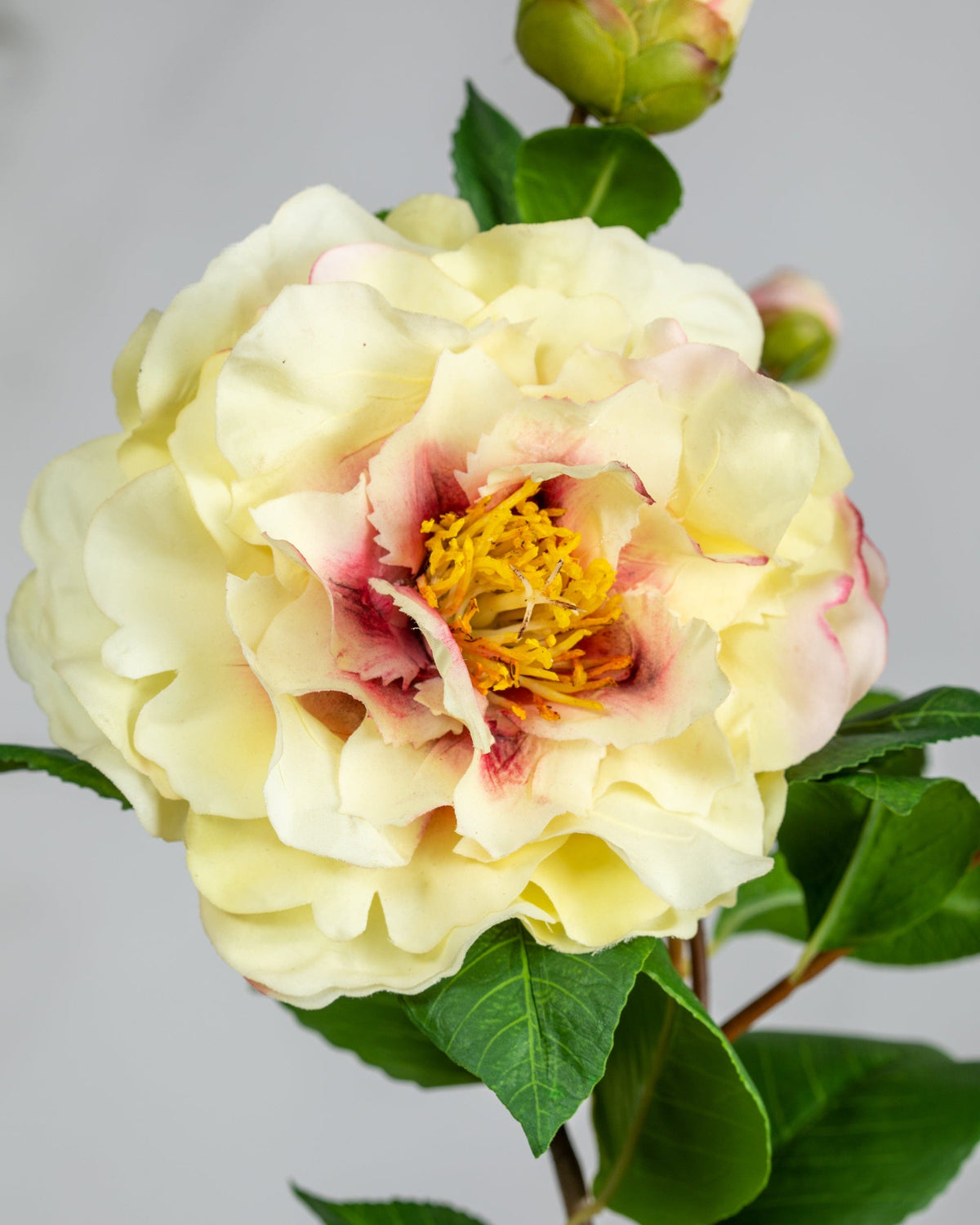 Prestige Botanicals Artificial Cream Ruffle Camellia close up