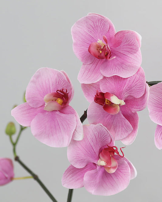 Pink Faux Orchid Blossoms