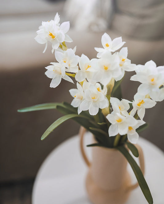 White Spring Narcissus Flowers Home Styling