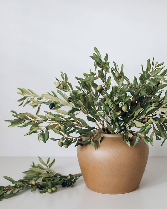 Artificial Olive Leaf Branches in Ceramic Vase