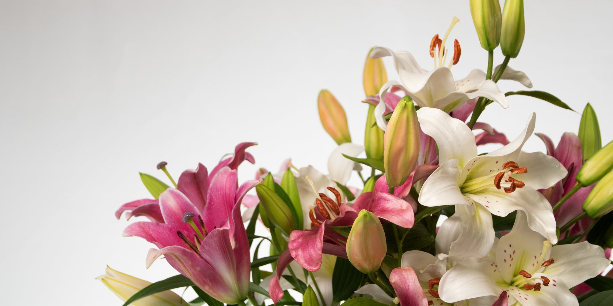 A Floristry design using a combination of fresh and artificial Lilies