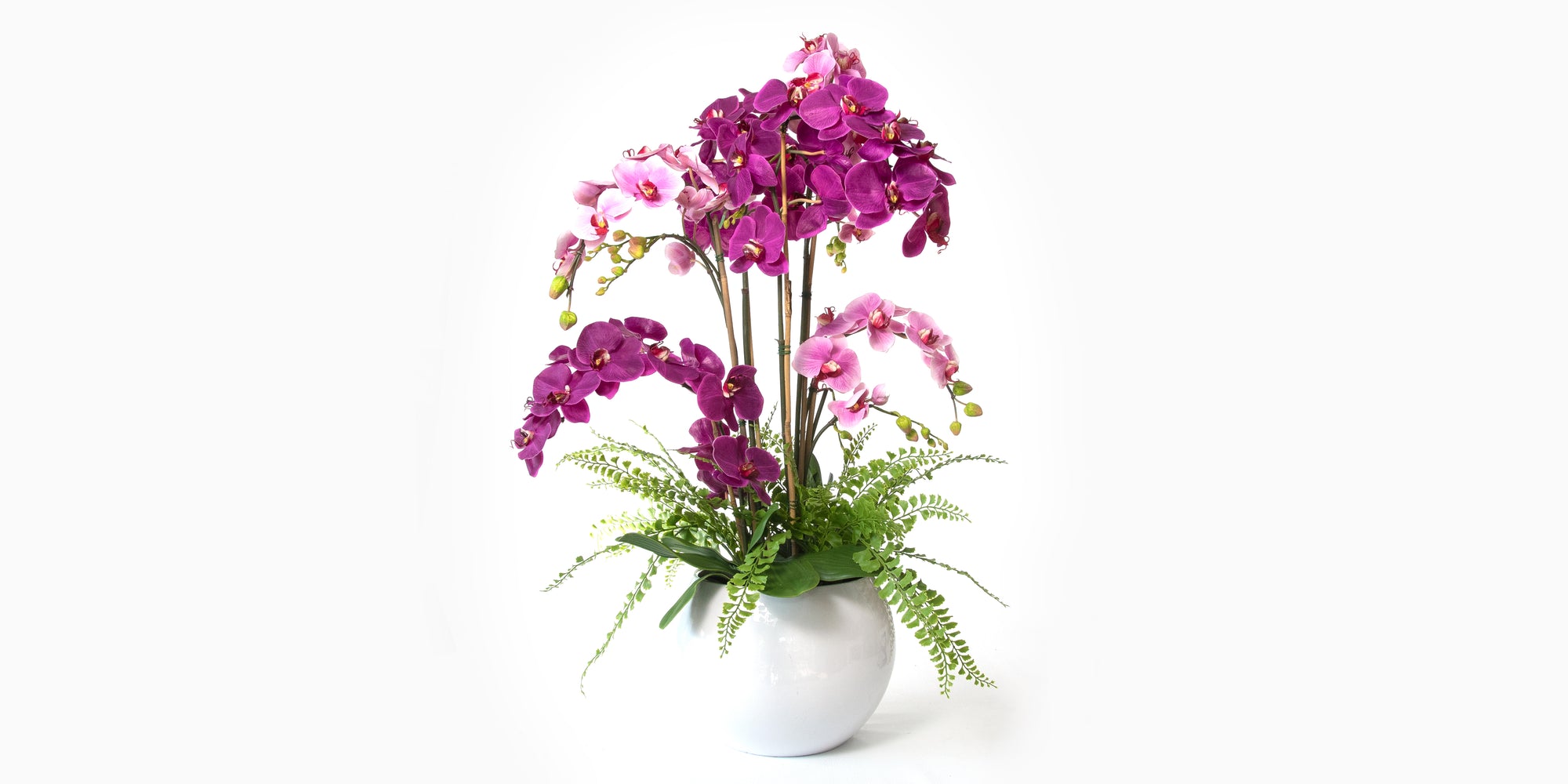 Tropical bowl of Orchids