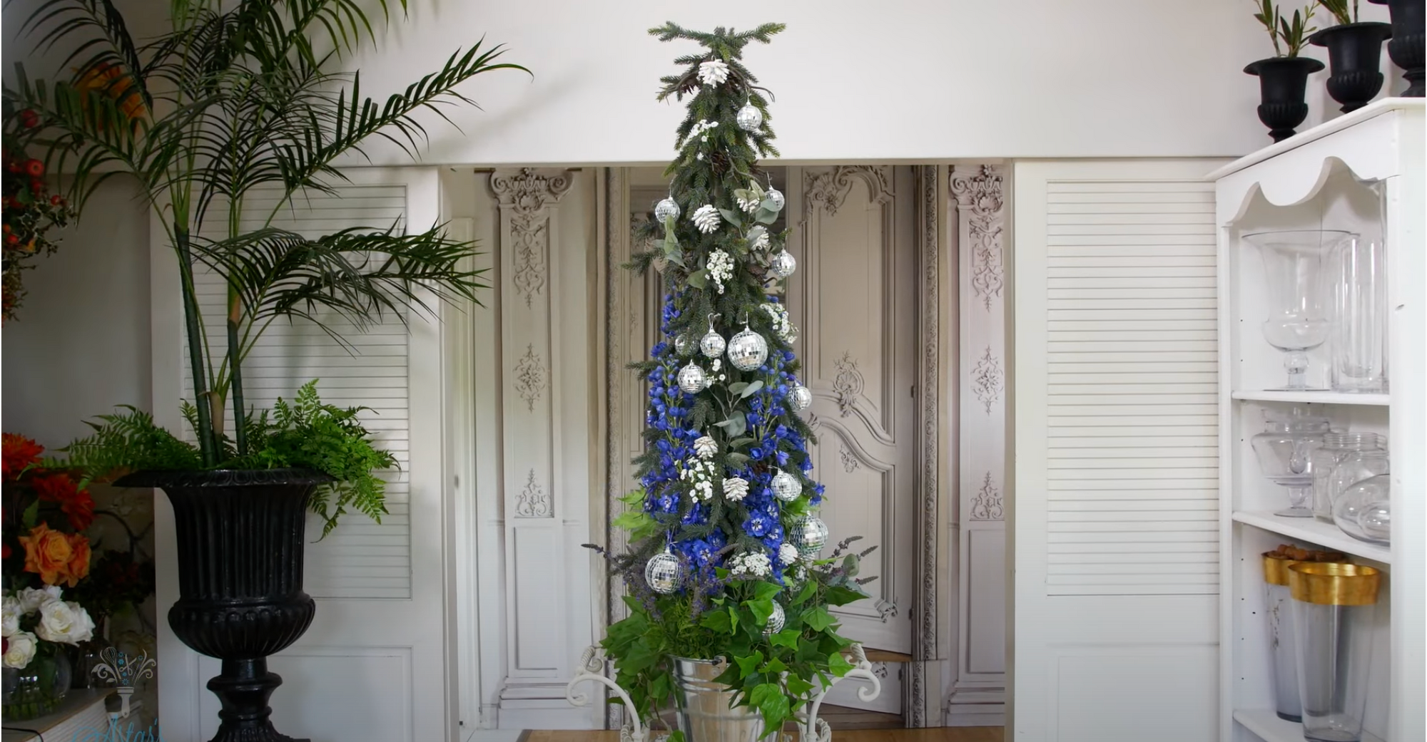 Astar's Delphinium Dressed Christmas Tree
