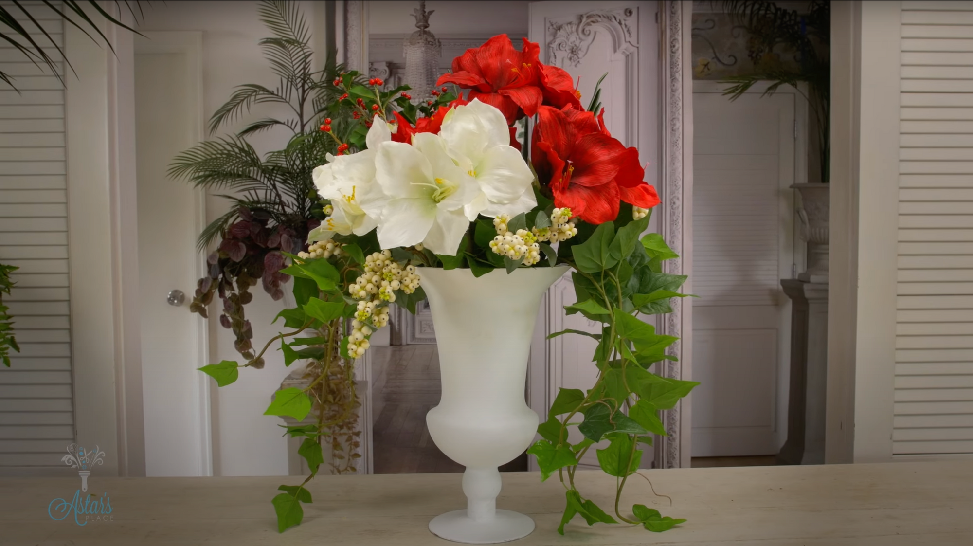 Red & White Amaryllis Christmas Flowers