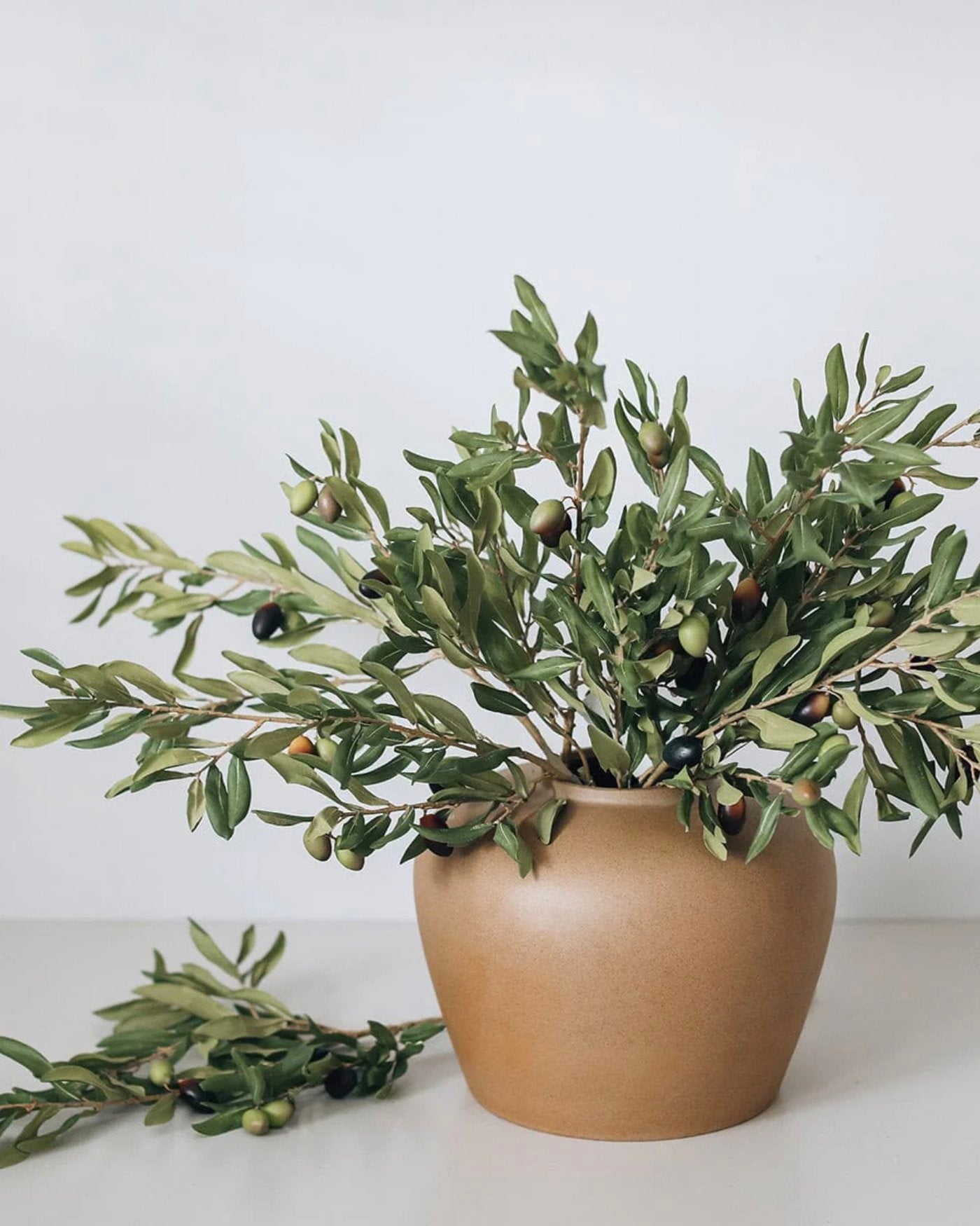 Prestige Botanicals Artificial Branches in a white tin vase