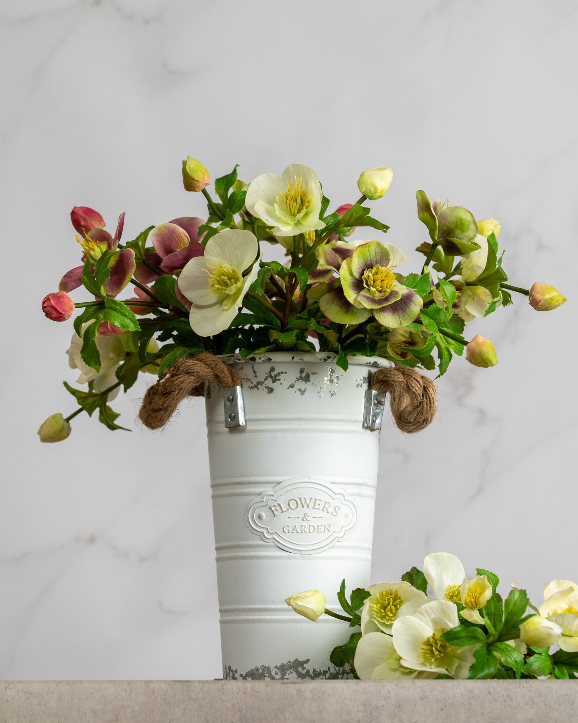 Prestige Botanicals Artificial Hellebores and Winter Roses in a white tin vase