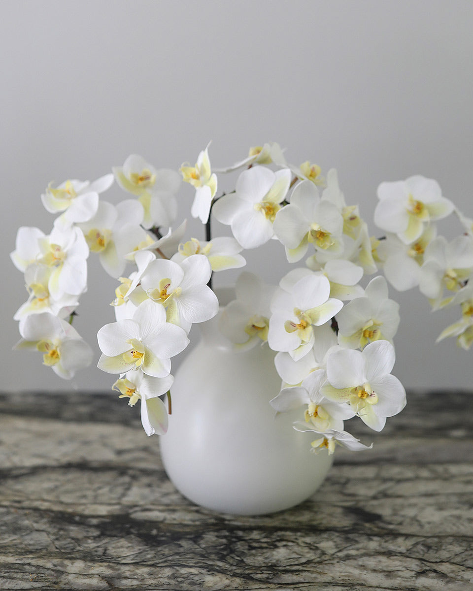 Prestige Botanicals Artificial Long Stem Orchid Phalaenopsis stems in a tall glass vase