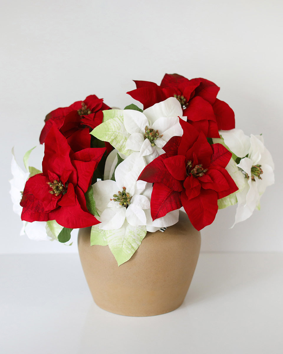 Holiday Flowers Red and White Poinsettias in Ceramic Vase
