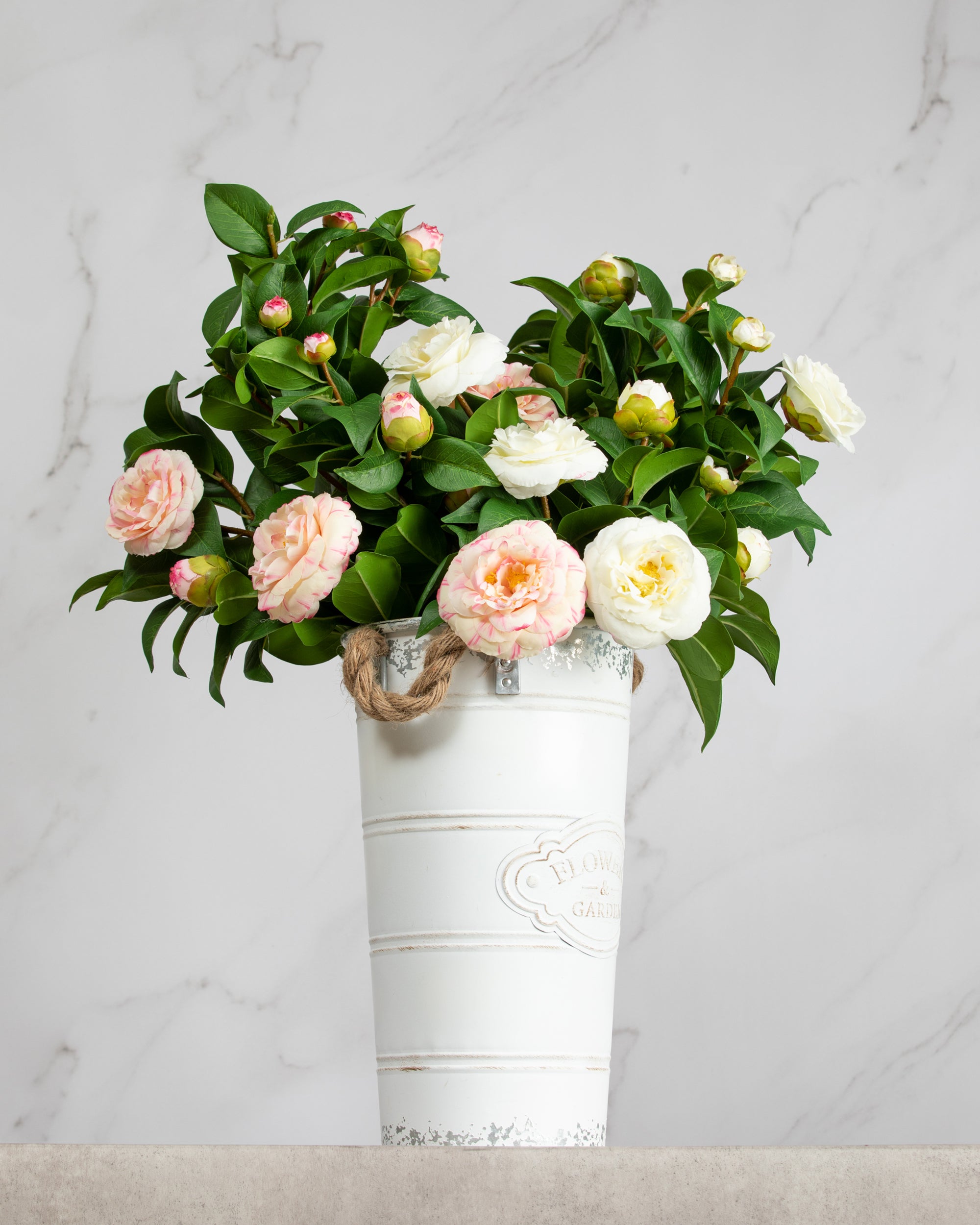 Prestige Botanicals Artificial Camellia Topiaries in a white tin vase