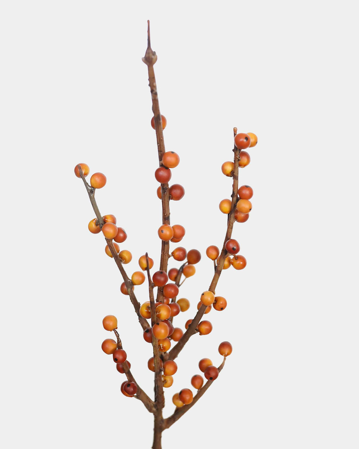 Fall Botanicals Artificial Berries