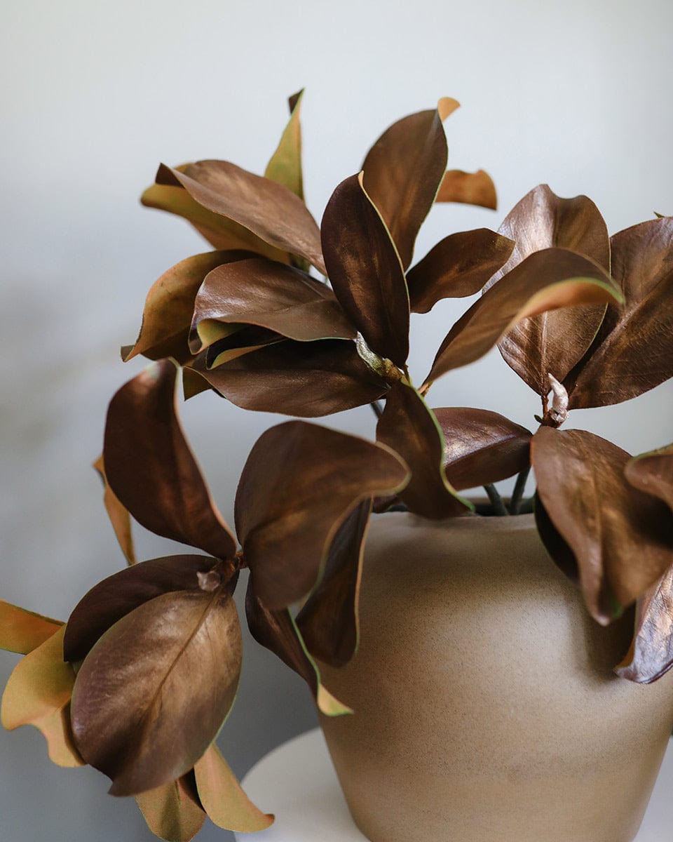 Brown Leaves Arrangement with Magnolia Greenery