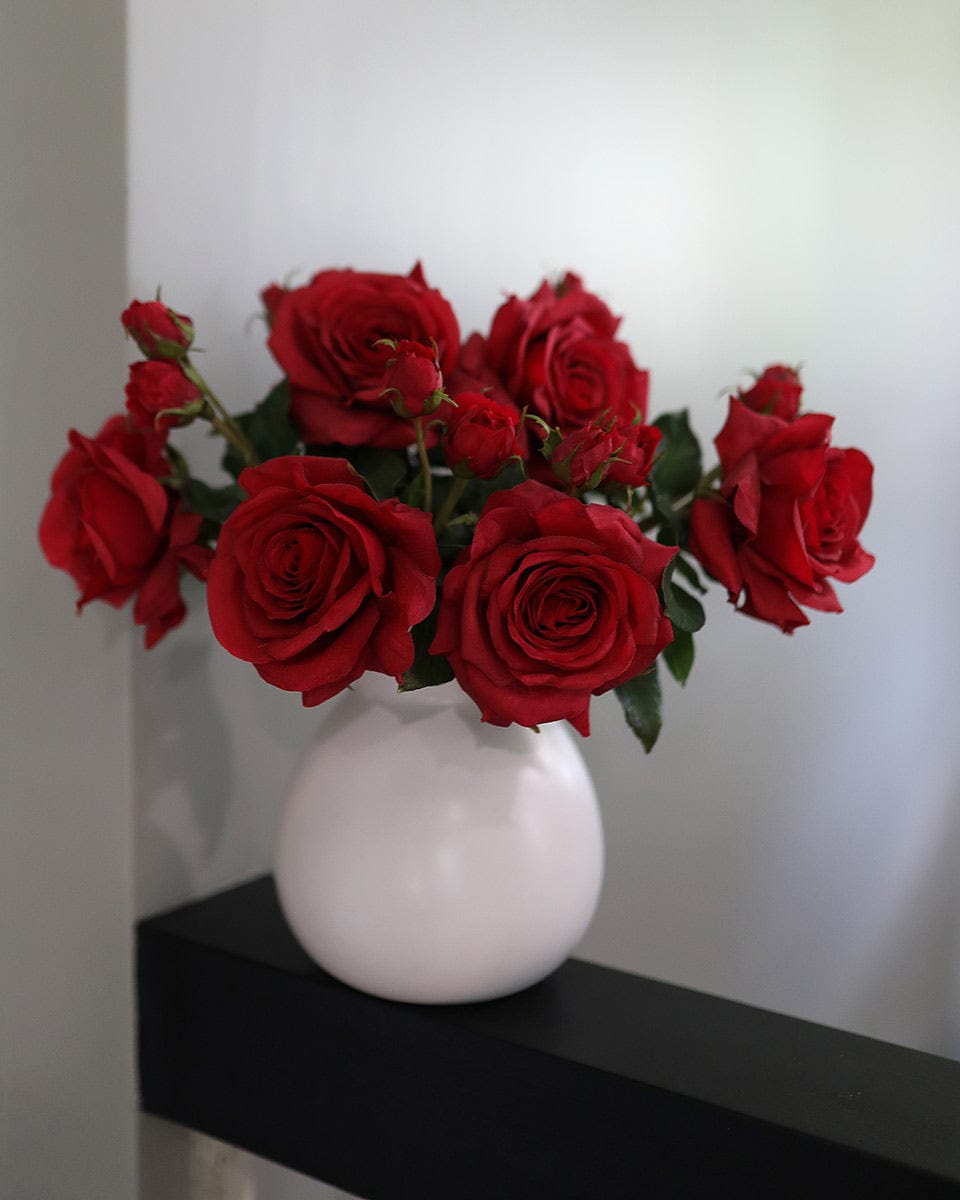 Red Roses Displayed in a White Vase