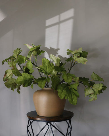 faux fiddle leaf fig plant Fig Leaf Branch | Artificial Greenery