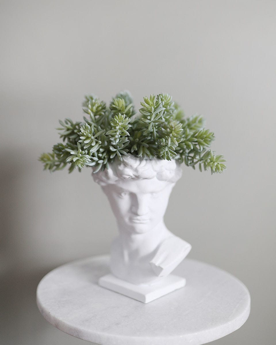 Faux Jade Succulent Stems in Face Vase