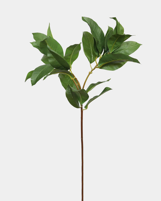 Faux Foliage Laurel Leaves in Green