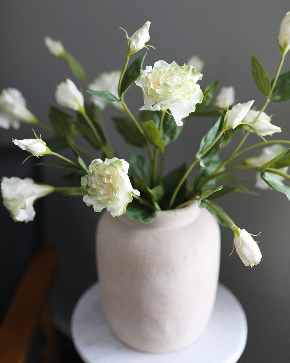 Cream Lisianthus with Green Edges Styled in Vase