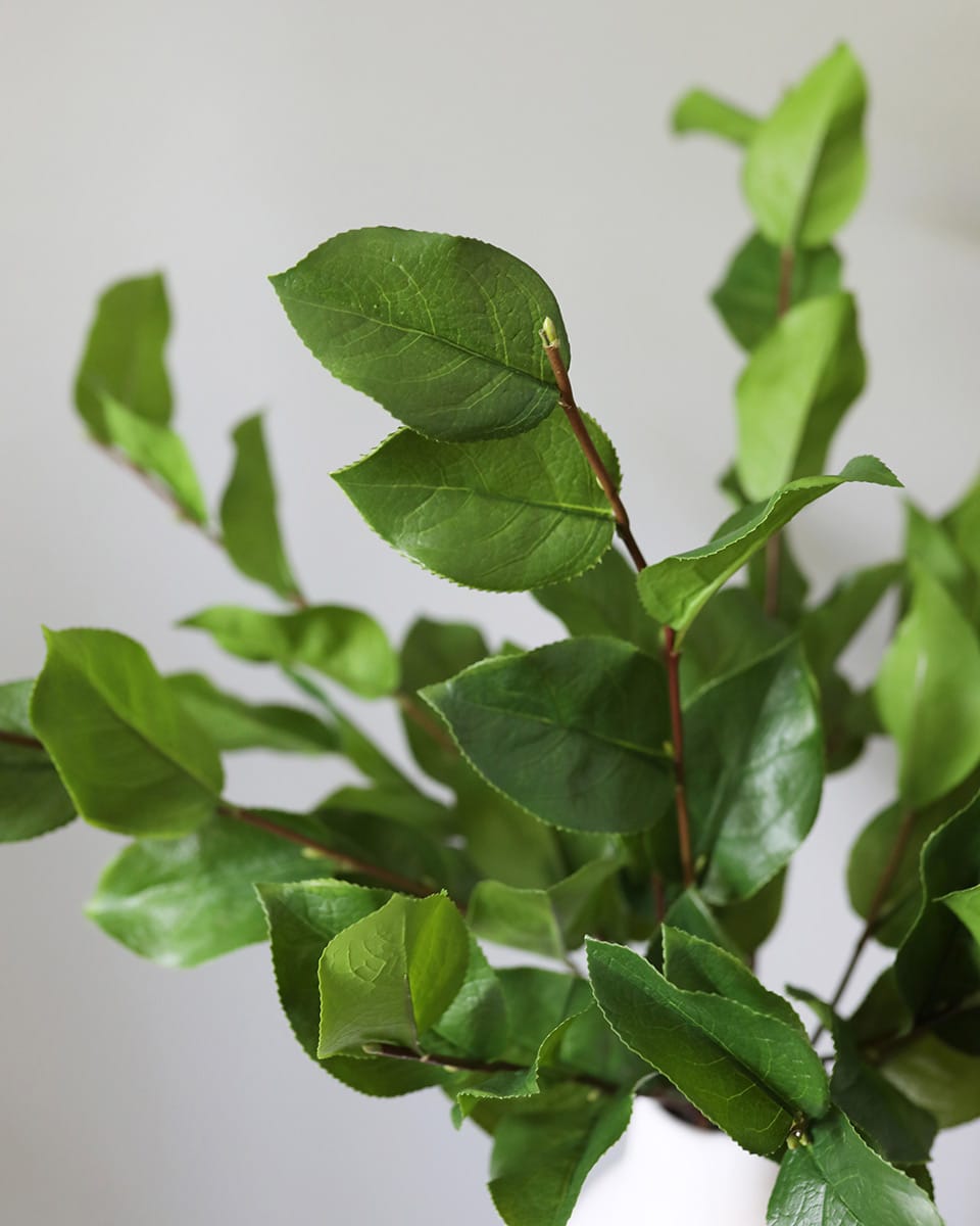 Details of Fake Greenery Salal Leaves